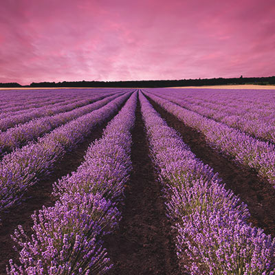 images/imagehover/image08.jpg